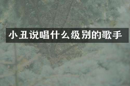 小丑说唱什么级别的歌手