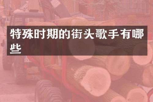 特殊时期的街头歌手有哪些