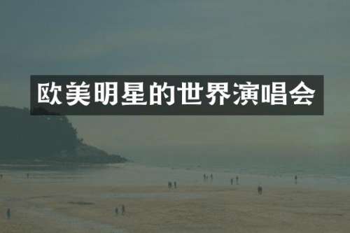 欧美明星的世界演唱会