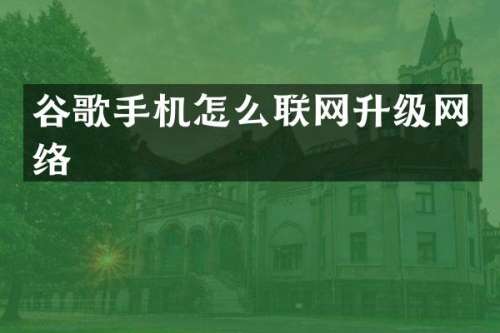谷歌手机怎么联网升级网络