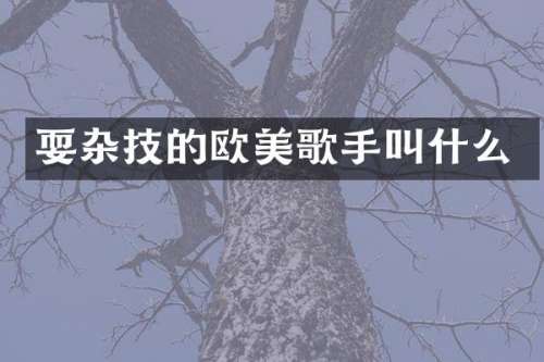 耍杂技的欧美歌手叫什么