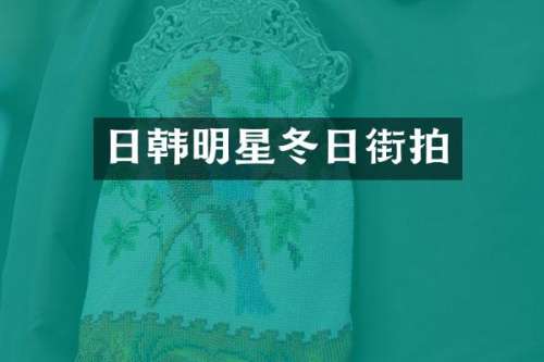日韩明星冬日街拍