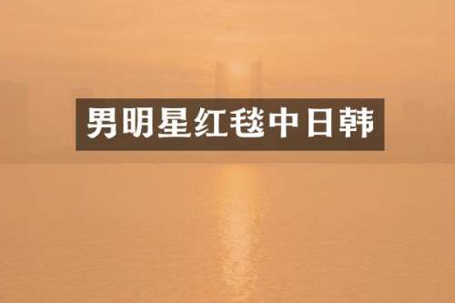 男明星红毯中日韩