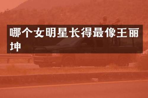 哪个女明星长得最像王丽坤