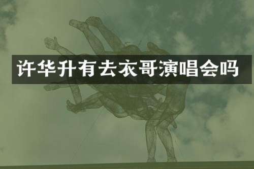 许华升有去衣哥演唱会吗