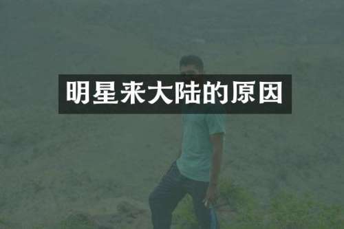 明星来大陆的原因