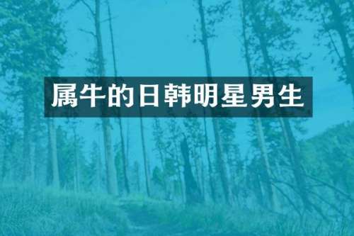 属牛的日韩明星男生
