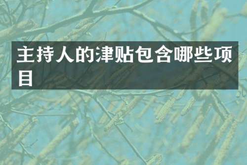 主持人的津贴包含哪些项目