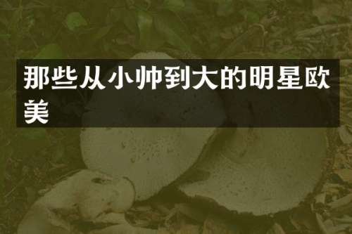 那些从小帅到大的明星欧美