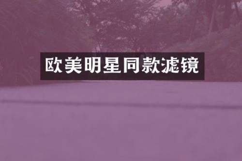 欧美明星同款滤镜