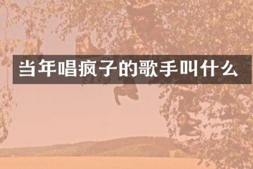 当年唱疯子的歌手叫什么