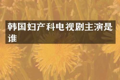 韩国妇产科电视剧主演是谁