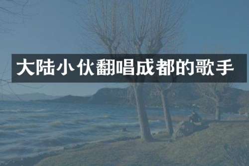 大陆小伙翻唱成都的歌手