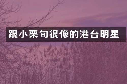 跟小栗旬很像的港台明星