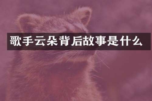 歌手云朵背后故事是什么