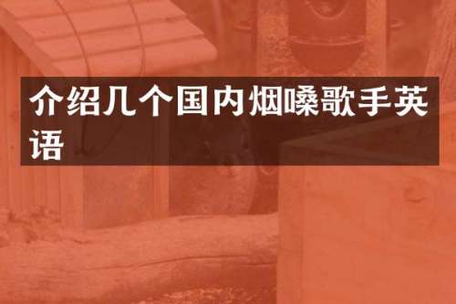 介绍几个国内烟嗓歌手英语