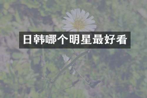 日韩哪个明星最好看