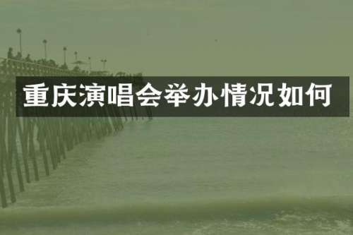 重庆演唱会举办情况如何