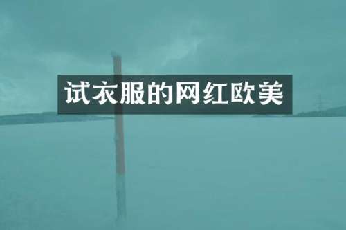 试衣服的网红欧美