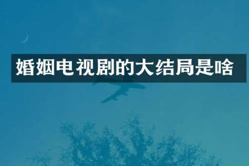 婚姻电视剧的大结局是啥