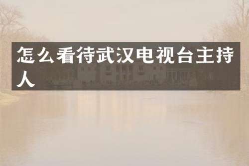 怎么看待武汉电视台主持人