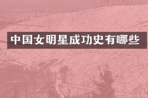 中国女明星成功史有哪些