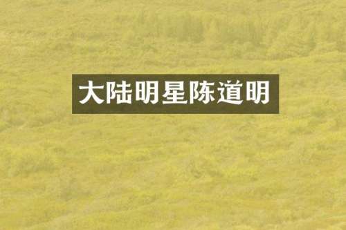 大陆明星陈道明