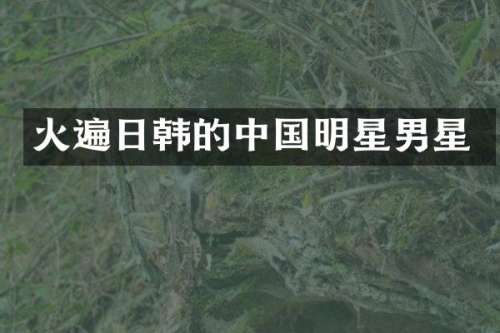 火遍日韩的中国明星男星