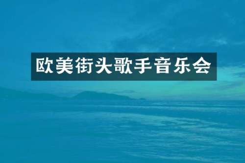 欧美街头歌手音乐会