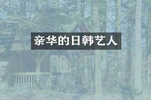 亲华的日韩艺人