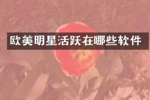 欧美明星活跃在哪些软件