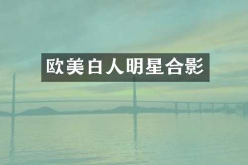 欧美白人明星合影