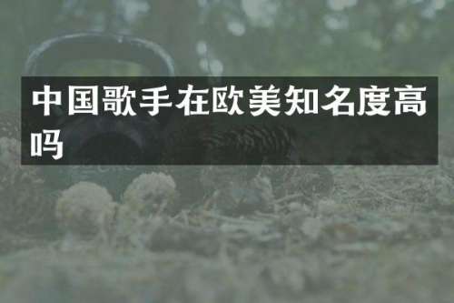 中国歌手在欧美知名度高吗
