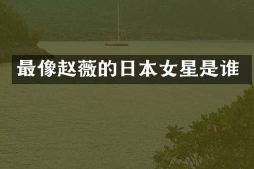 最像赵薇的日本女星是谁