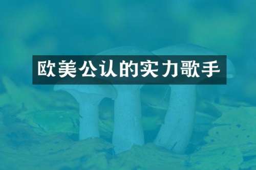 欧美公认的实力歌手