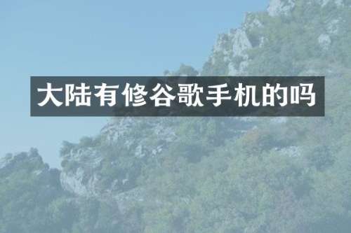大陆有修谷歌手机的吗