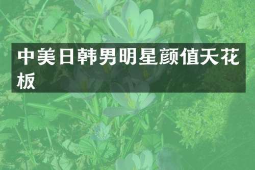 中美日韩男明星颜值天花板