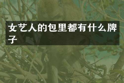 女艺人的包里都有什么牌子