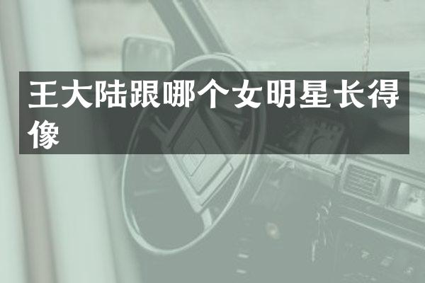 王大陆跟哪个女明星长得像