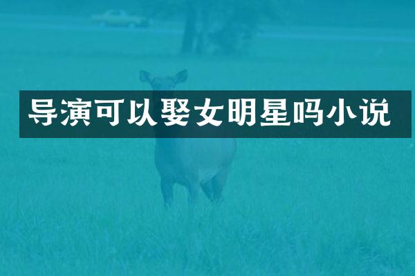导演可以娶女明星吗小说
