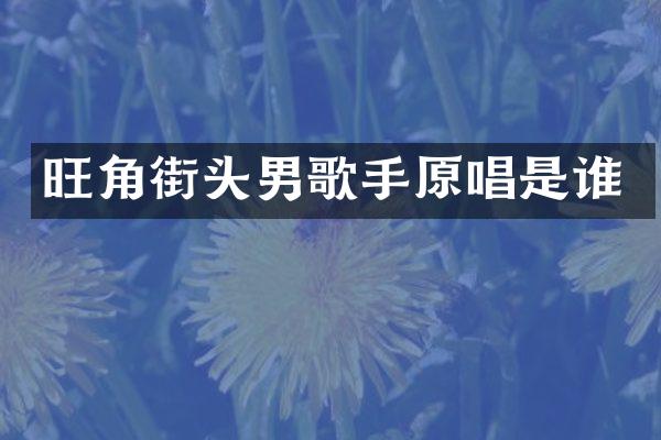 旺角街头男歌手原唱是谁