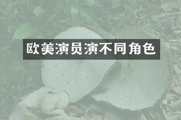 欧美演员演不同角色