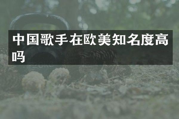 中国歌手在欧美知名度高吗