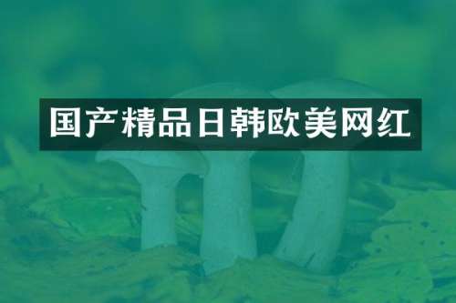 国产精品日韩欧美网红