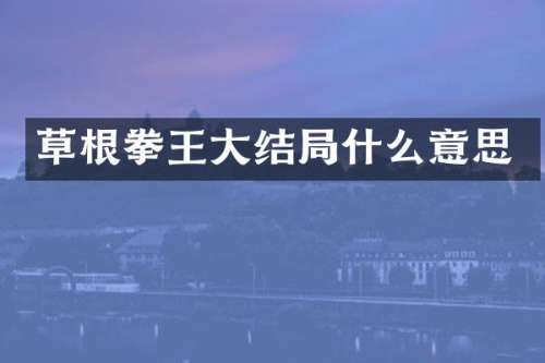 草根拳王大结局什么意思