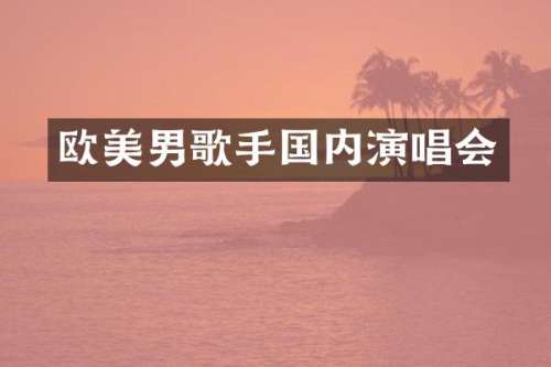 欧美男歌手国内演唱会