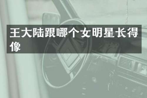 王大陆跟哪个女明星长得像