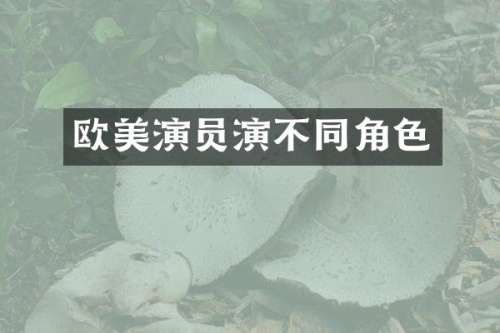 欧美演员演不同角色