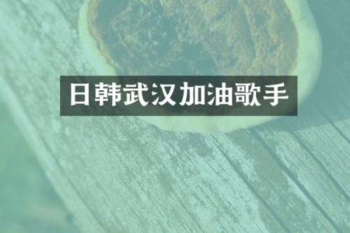 日韩武汉加油歌手