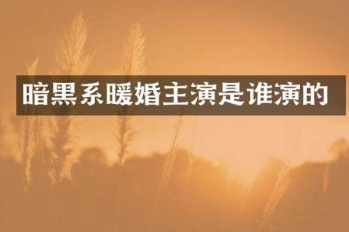 暗黑系暖婚主演是谁演的